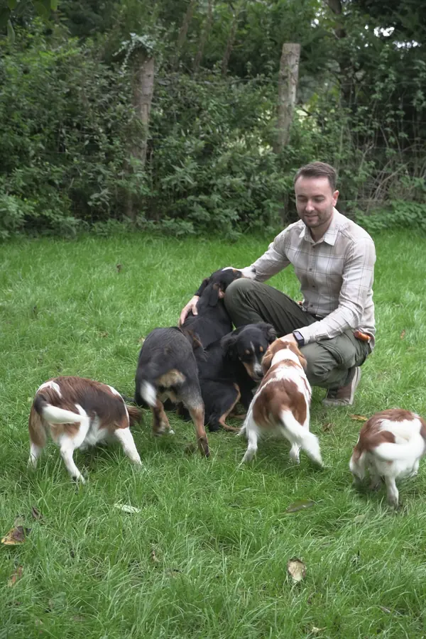 Appenzeller und Kooikerhondje Welpen tollen auf der Wiese des Nordenbroker Hofs